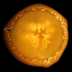 Lars Calundan004380-topaz-sharpen