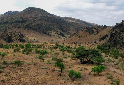 Billeder fra Turkana, Kenya