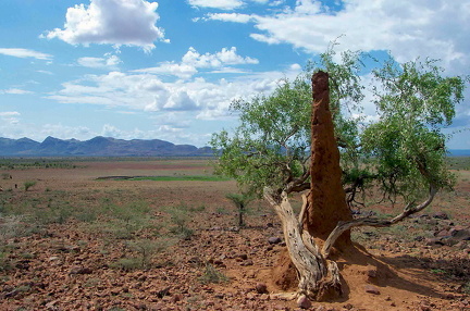 Billeder fra Turkana, Kenya
