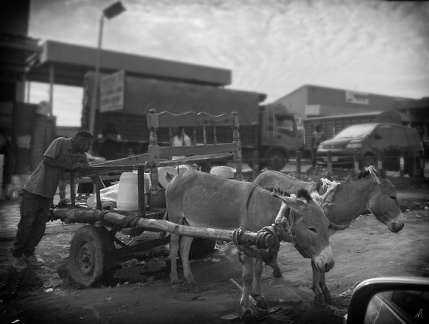 Oles æsler redigeret af Nils