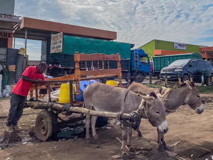 Ole Holst  - Redigeret - Ole O-2