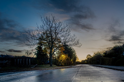 Morgen-Blå time 28-10-25 Ole O