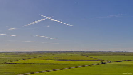 Udsigt fra Marsk tower