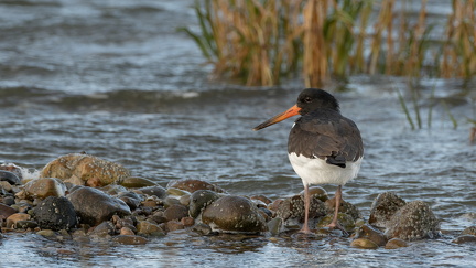 2025-10-30 DSC 1693-Edit