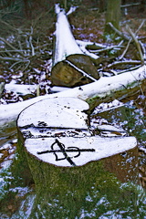 Ude i kulden. (Kong vinter)