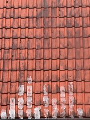 IMG 9731