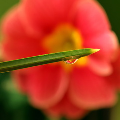 Lars Calundan004773-topaz-sharpen