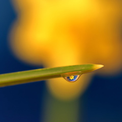 Lars Calundan004774-topaz-sharpen