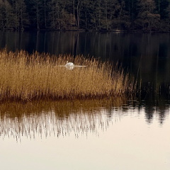 IMG 9816