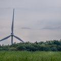 Anmasende vindmølle