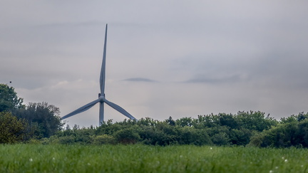 Anmasende vindmølle