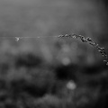Lars Calundan006410-topaz-sharpen