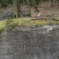 IMG 0396