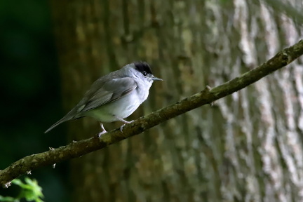 Lars Calundan006448-topaz-denoise-sharpen