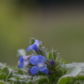  MG 5629