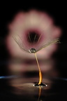 Lars Calundan006631-topaz-sharpen-remove